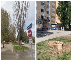 Безопасность жителей на контроле у депутата Сергея Асташкина